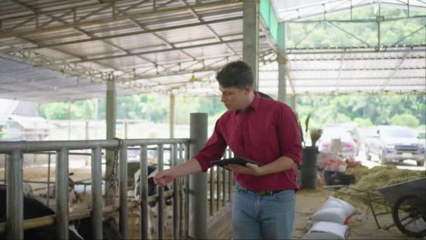 彼のコンピュータタタブレットを使用して赤いシャツの疲れた男性酪農家は 彼の農場で彼の家畜の状態をチェックする — ストック動画