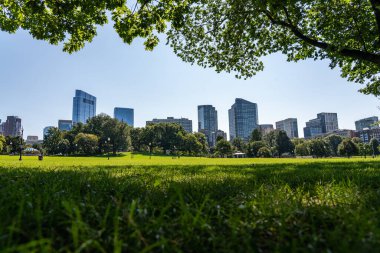 Boston, ABD - 01 Eylül - Boston Halk Bahçesi 'nden görünen açık mavi gökyüzü üzerinde uzak şehir gökyüzü görüntüsü