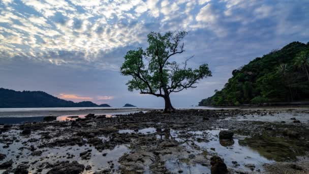 Gün Batımında Trad Tayland Koh Chang Adasında Kumlu Bir Sahilde — Stok video