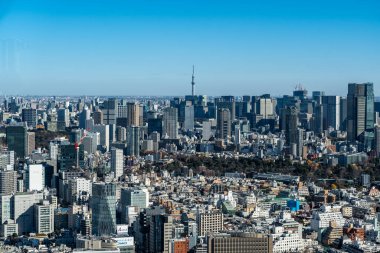 Tokyo, Japonya - 14 Aralık 2024 - Tokyo Gökyüzü Ağacı dahil Tokyo şehir manzarası Shibuya Gökyüzü binasından görüldü