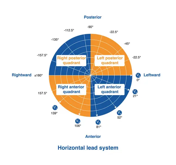 The horizontal lead system is the reference plane for chest leads, divided into four quadrants: left posterior, left anterior, right anterior, and right posterior.