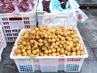 Longan, küçük sarı ve beyaz çiçekleri olan ve 400 yıldan fazla sürebilen büyük yeşil bir ağaçtır. Etleri tatlı ve popüler bir meyvedir..