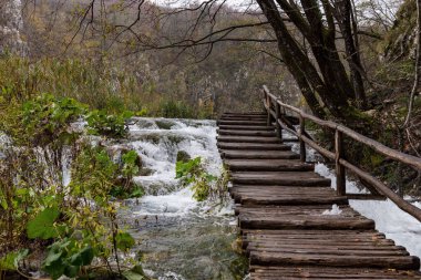 Sonbahar manzarası. Hırvatistan 'da çağlayan şelaleler, nehirler ve göller. Plitvice Lakes Ulusal Parkı 'nın gök mavisi, gri ya da mavi. Göller arasındaki yollar