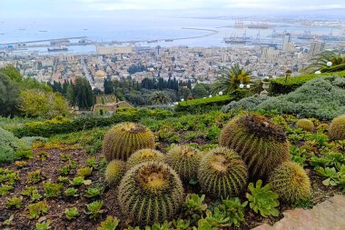 The Hanging Gardens of Haifa, are garden terraces on Mount Carmel in Haifa. One of the most popular tourist destinations in Israel. clipart