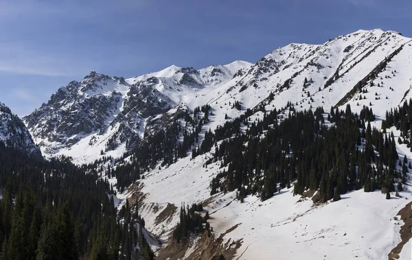 stock image View of the Tien Shan mountains from the city of Almaty.