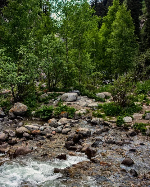 Pejzaż Rzeką Górskim Lesie Letni Dzień — Zdjęcie stockowe