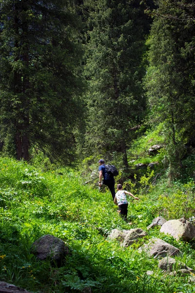 Τουρίστες Πηγαίνουν Στο Ορεινό Δάσος Καλοκαίρι — Φωτογραφία Αρχείου