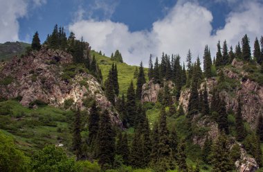 Bir yaz günü dağlarda manzara..