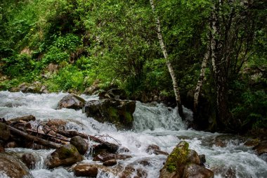 Dağ ormanlarındaki nehirde akan su..