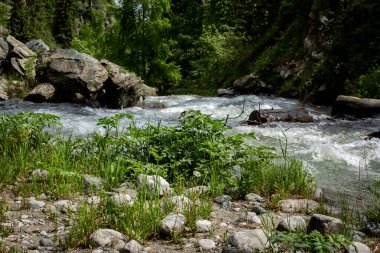 Dağ ormanlarındaki nehirde akan su..