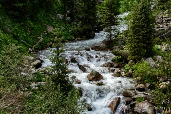 山の森の川の水の流れ — ストック写真