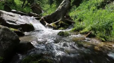 Ormandaki dağ gibi temiz su..