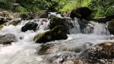 Ormandaki dağ gibi temiz su..