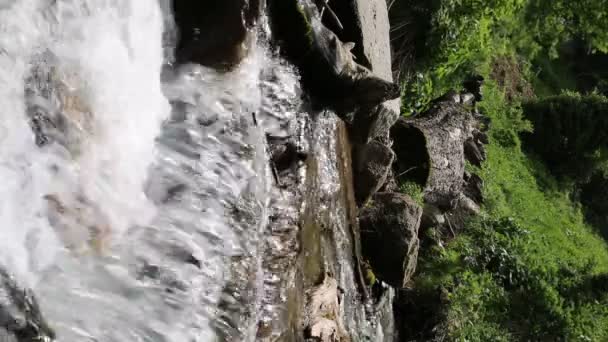 Fluxo Montanha Água Limpa Floresta — Vídeo de Stock