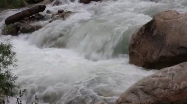 Çocuksu bir sabahta dağ deresi.