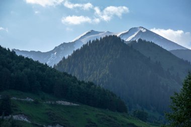 Bir yaz sabahı dağlarda Manzara.