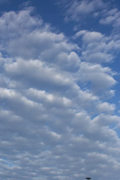 Arkaplan Doku Mavi Gökyüzünde Beyaz Bulutlar — Stok fotoğraf