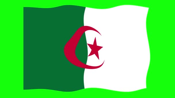 Cezayir Yeşil Ekran Arkaplanı Nda Bayrak Sallama Animasyonu Kusursuz Animasyon — Stok video