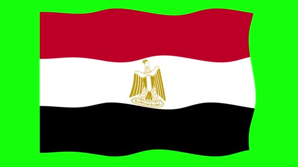 Egypt Waving Flag Animation Green Screen Background Dalam Bahasa Inggris — Stok Video