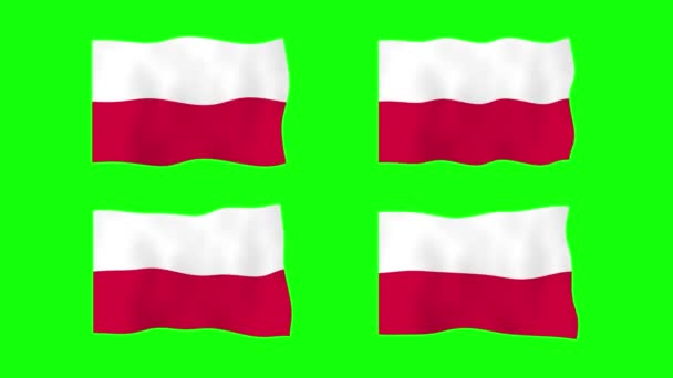 Polonia Ondeando Bandera Animación Fondo Pantalla Verde Looping Animación Sin — Vídeos de Stock