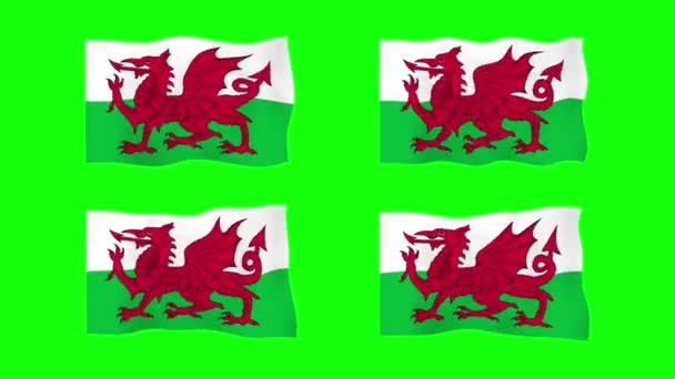 威尔士在绿色屏幕背景下摇曳旗帜2D动画 循环无缝动画 运动图形 — 图库视频影像