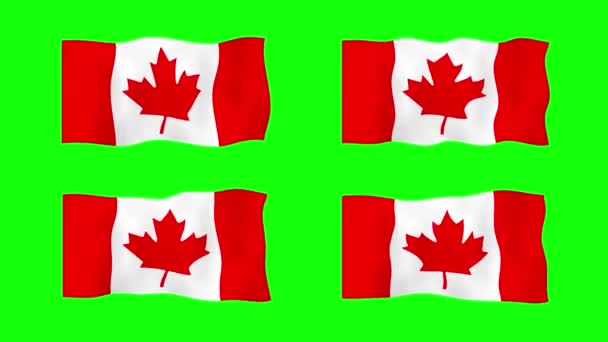Canadá Ondeando Bandera Animación Fondo Pantalla Verde Looping Animación Sin — Vídeos de Stock