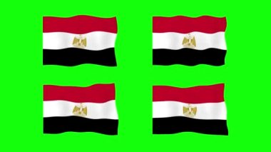 Yeşil Ekran Arkaplanında Mısır Bayrağı 2D Canlandırması. Kusursuz animasyon döngüsü. Hareket Grafiği