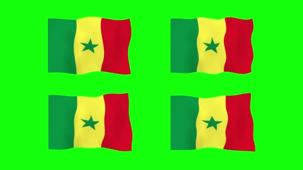 Σενεγάλη Κυματιστή Σημαία Κινούμενα Σχέδια Φόντο Πράσινης Οθόνης Κωπηλασία Χωρίς — Αρχείο Βίντεο