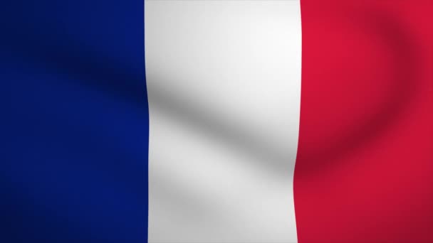 France Waving Flag Background Animation Looping Seamless Animation Motion Graphic — 비디오