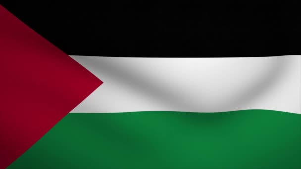 Palestine Waving Flag Background Animation Looping Seamless Animation Motion Graphic — 비디오
