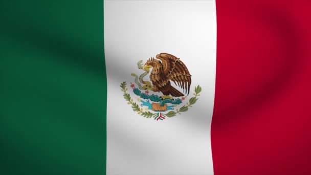 Мексика Размахивает Флагом Анимации Цикл Плавной Анимации Motion Graphic — стоковое видео