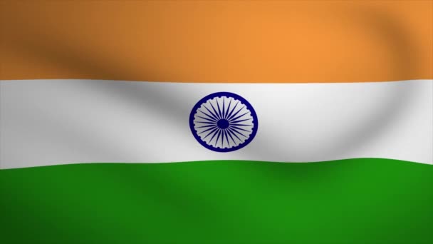 India Waving Flag Background Animation Looping Seamless Animation Motion Graphic — 비디오