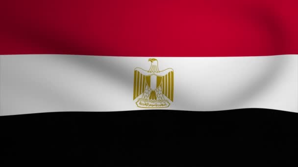 Αίγυπτος Κυματίζει Σημαία Φόντο Animation Looping Απρόσκοπτη Animation Γραφικό Κίνησης — Αρχείο Βίντεο