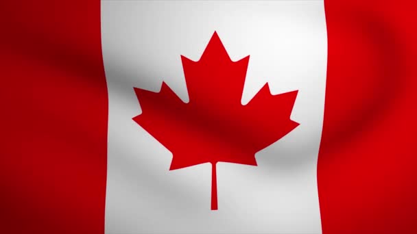 Καναδάς Κυματίζει Σημαία Φόντο Animation Looping Απρόσκοπτη Animation Γραφικό Κίνησης — Αρχείο Βίντεο