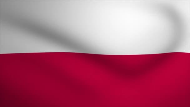 Poland Waving Flag Background Animation Looping Seamless Animation Motion Graphic — Vídeos de Stock