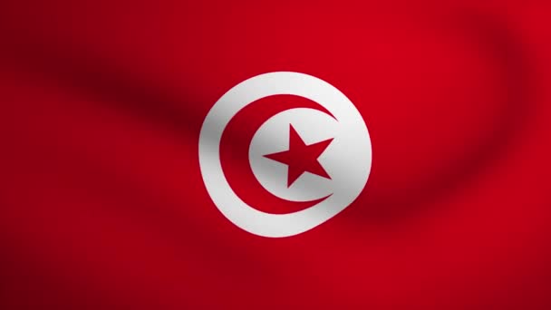 Tunisia Waving Flag Background Animation Looping Seamless Animation Motion Graphic — 비디오