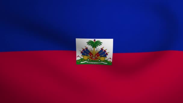 ハイチ波旗の背景アニメーション シームレスな3Dアニメーションをループさせます モーショングラフィック — ストック動画