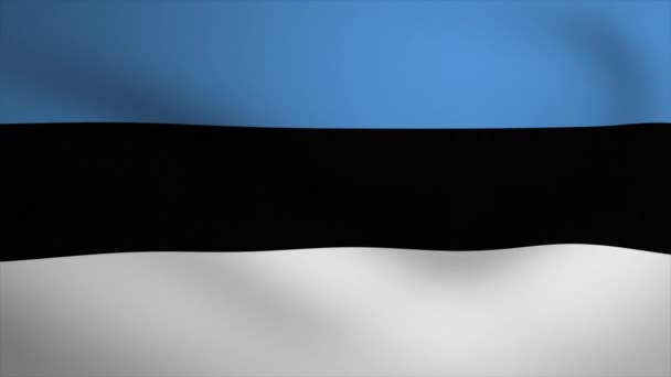 Estonia Ondeando Bandera Fondo Animación Looping Animación Sin Fisuras Gráfico — Vídeo de stock