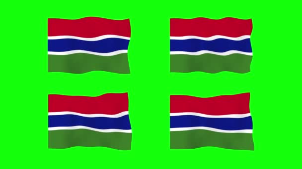 Γκάμπια Κυματιστή Σημαία Κινούμενα Σχέδια Πράσινο Φόντο Οθόνης Κωπηλασία Χωρίς — Αρχείο Βίντεο