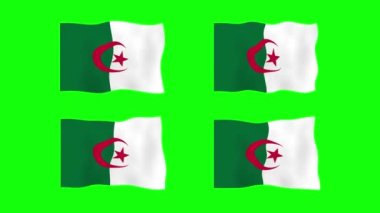 Cezayir 'de Yeşil Ekran Arkaplanı' nda 2D Bayrak Sallama Animasyonu. Kusursuz animasyon döngüsü. Hareket Grafiği
