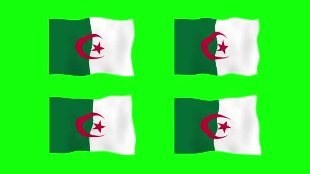Alžírsko Waving Flag Animation Green Screen Background Smyčka Plynulé Animace — Stock video