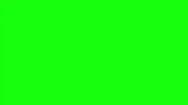 文莱达鲁萨兰国在绿色屏幕背景下创作动画 循环无缝动画 一组变化运动图形 — 图库视频影像