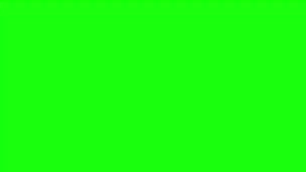 Анимация Ганы Фоне Зеленого Экрана Цикл Плавной Анимации Набор Вариаций — стоковое видео