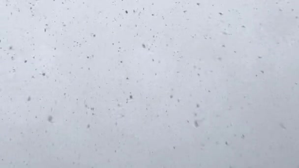 Spadający Śnieg Formie Krótkiej Animacji — Wideo stockowe