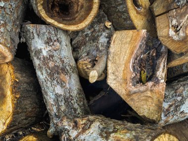 Büyük bir yığın içinde yakacak odun ve yosun ile kaplanmış.