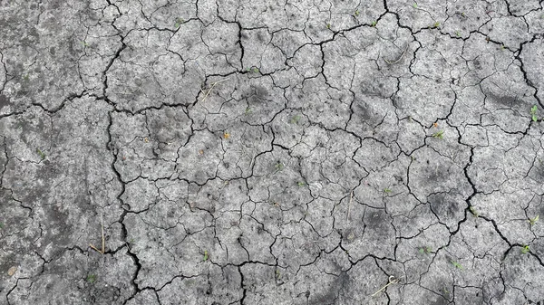 Kuru çatlamış toprağın dokusu, minimalist bir tarzda.