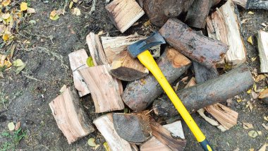 Yazlık bir arazide yakacak odun topluyorum. Kesilmiş kereste, arka bahçede.