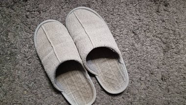 İki gri terlik bir halıda duruyor.