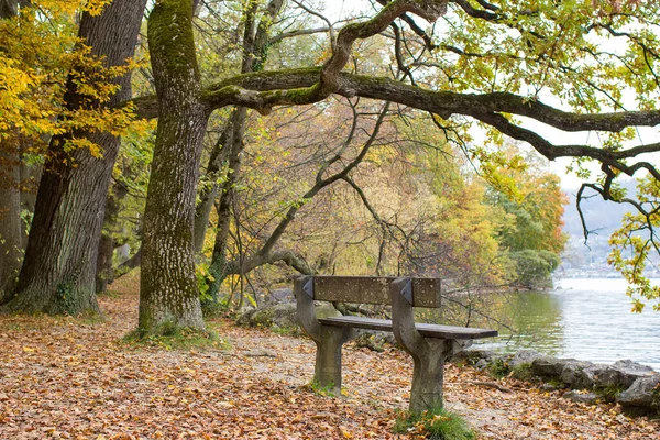 Podzimní Pohled Jezero Stromy Lavičku Parku Toscana Gmunden Rakousko — Stock fotografie