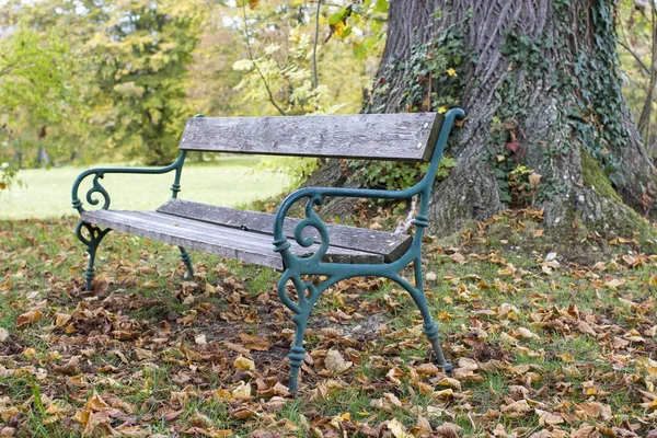 奥地利格蒙登托斯卡纳公园的长椅 — 图库照片